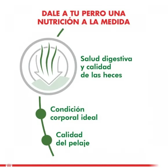 Royal Canin Adulto Mini Indoor Adult Alimento Para Perro