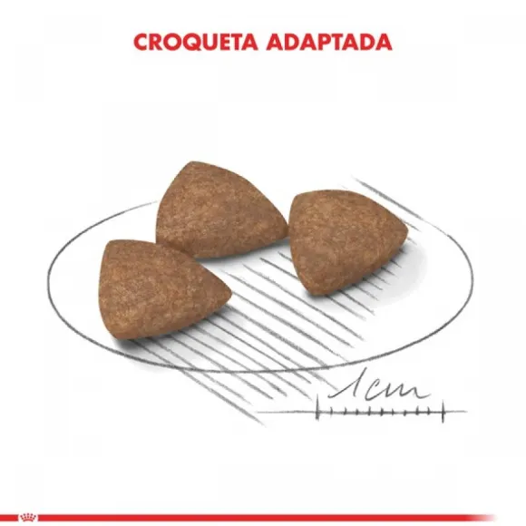 Royal Canin Adulto Mini Indoor Adult Alimento Para Perro