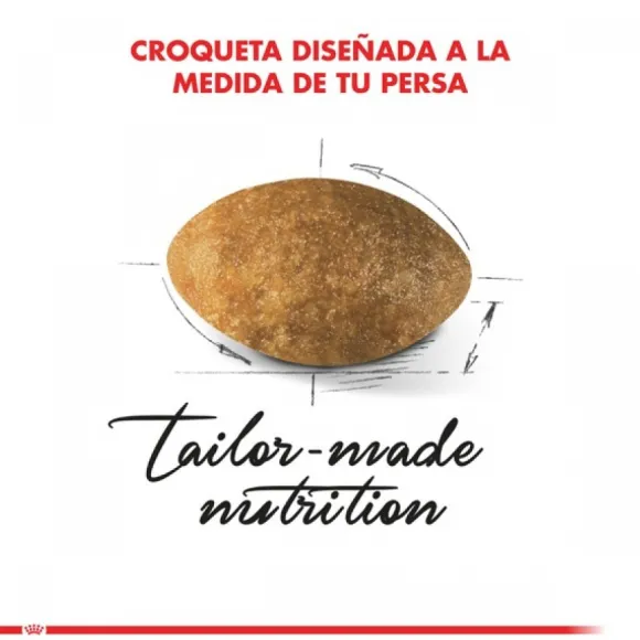 Royal Canin Adulto Persian 1.5 Kg Alimento Para Gato