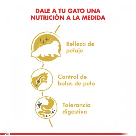 Royal Canin Adulto Persian 1.5 Kg Alimento Para Gato