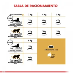 Royal Canin Adulto Persian 1.5 Kg Alimento Para Gato