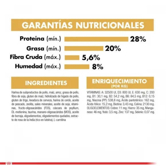 Royal Canin Adulto Persian 1.5 Kg Alimento Para Gato