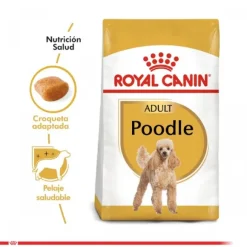 Royal Canin Adulto Poodle Adult Alimento Para Perro