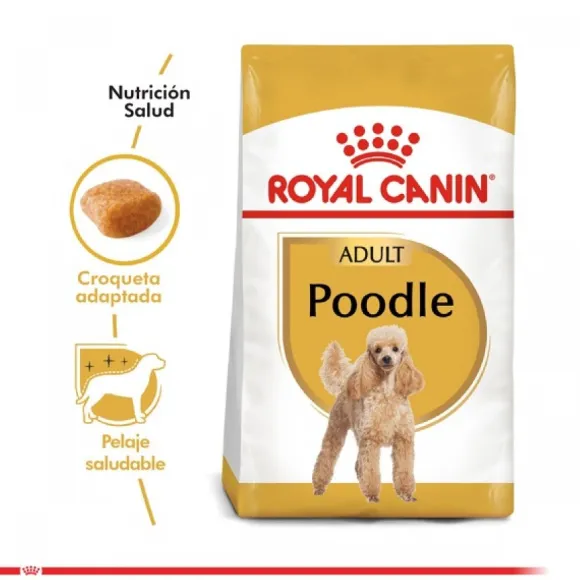 Royal Canin Adulto Poodle Adult Alimento Para Perro