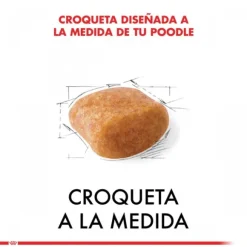 Royal Canin Adulto Poodle Adult Alimento Para Perro