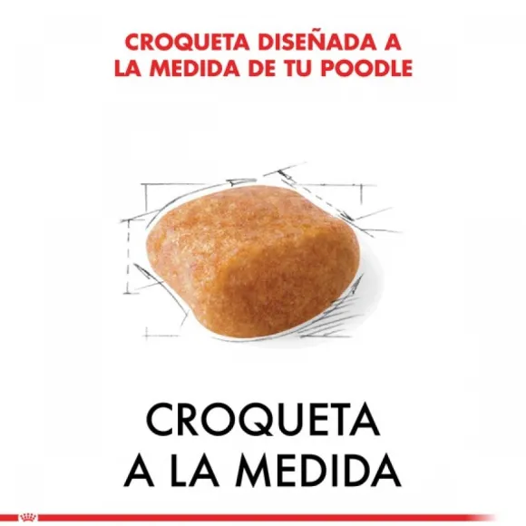 Royal Canin Adulto Poodle Adult Alimento Para Perro