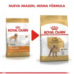 Royal Canin Adulto Poodle Adult Alimento Para Perro