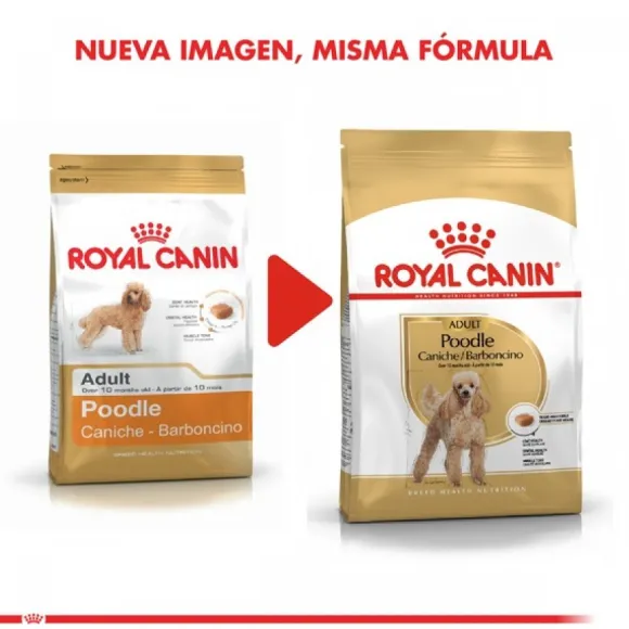 Royal Canin Adulto Poodle Adult Alimento Para Perro