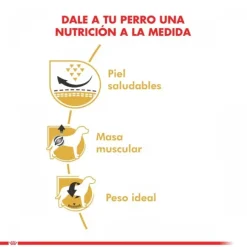 Royal Canin Adulto Pug Adult 2.5 Kg Alimento Para Perro