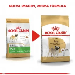 Royal Canin Adulto Pug Adult 2.5 Kg Alimento Para Perro