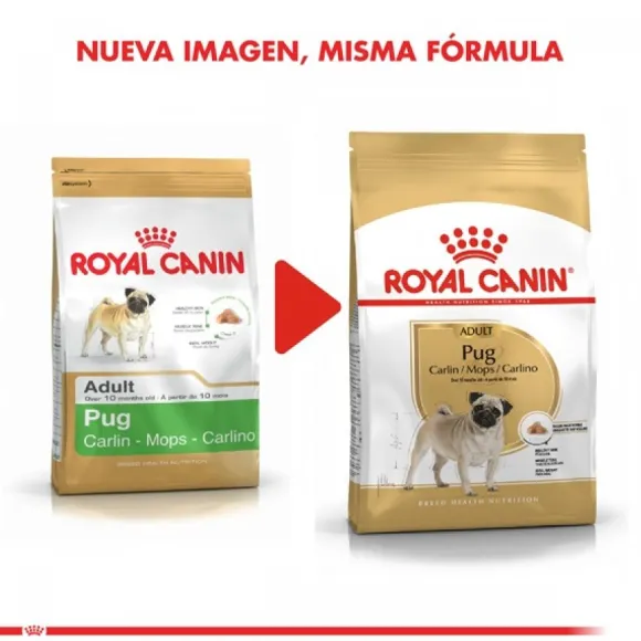 Royal Canin Adulto Pug Adult 2.5 Kg Alimento Para Perro