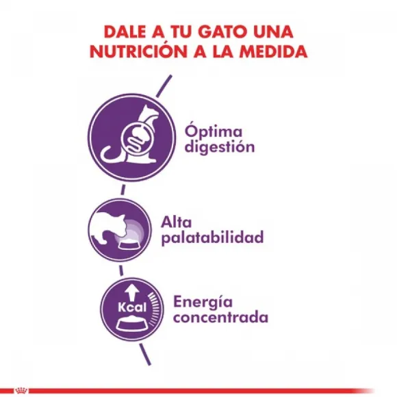 Royal Canin Adulto Sensible Alimento Para Gato