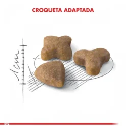 Royal Canin Adulto Sensible Alimento Para Gato