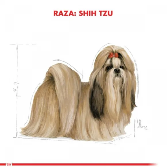 Royal Canin Adulto Shih Tzu Alimento Para Perro