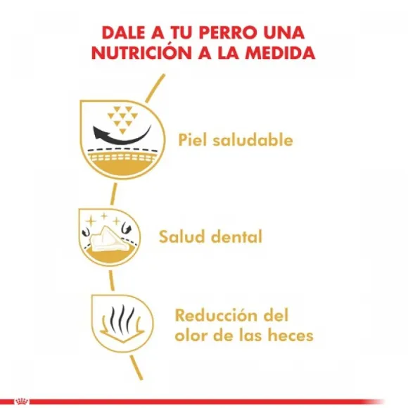 Royal Canin Adulto Shih Tzu Alimento Para Perro