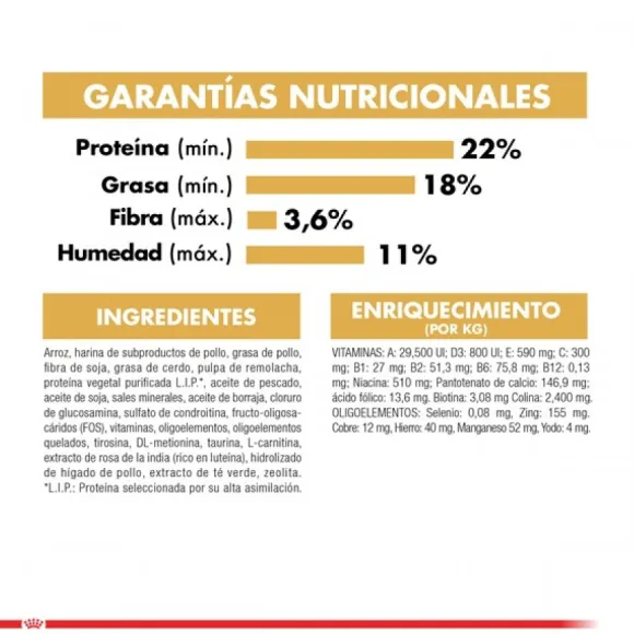 Royal Canin Adulto Shih Tzu Alimento Para Perro