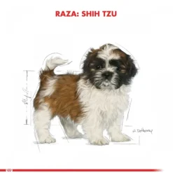 Royal Canin Adulto Shih Tzu Alimento Para Perro