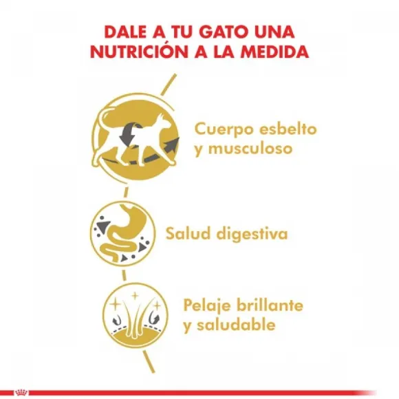 Royal Canin Adulto Siamese 1.5 Kg Alimento Para Gato