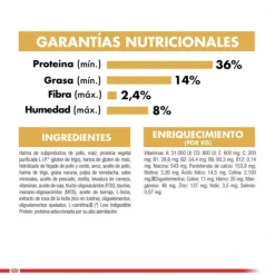 Royal Canin Adulto Siamese 1.5 Kg Alimento Para Gato