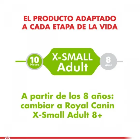 Royal Canin Adulto X-Small Adult Alimento Para Perro