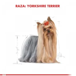 Royal Canin Adulto Yorkshire Terrier Adult Alimento Para Perro