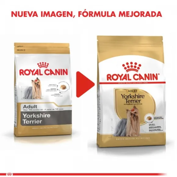 Royal Canin Adulto Yorkshire Terrier Adult Alimento Para Perro