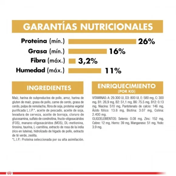 Royal Canin Adulto Yorkshire Terrier Adult Alimento Para Perro