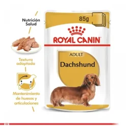 Royal Canin Alimento H Medo Perro Adulto Dachshund