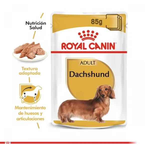 Royal Canin Alimento H Medo Perro Adulto Dachshund