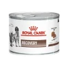 Royal Canin Alimento H Medo Perro Adulto Recovery
