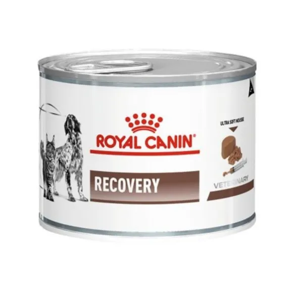 Royal Canin Alimento H Medo Perro Adulto Recovery