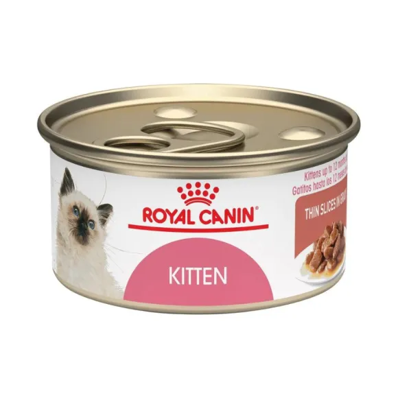Royal Canin Alimento H Medo Gatitos Latas