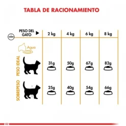 Royal Canin Alimento Seco Gato Adulto Hair & Skin