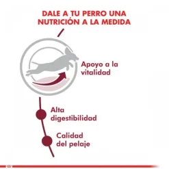 Royal Canin Alimento Seco Perro Adulto Medium Adult 7+