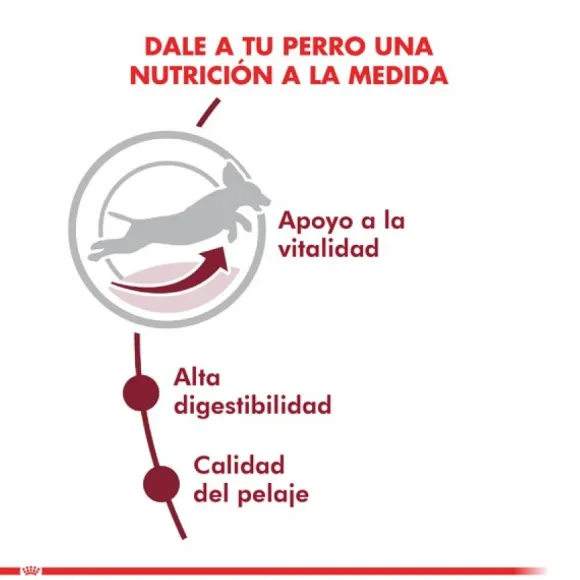 Royal Canin Alimento Seco Perro Adulto Medium Adult 7+