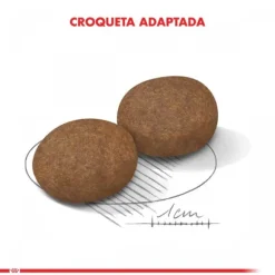 Royal Canin Alimento Seco Perro Adulto Medium Adult 7+