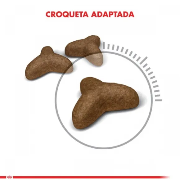Royal Canin Alimento Seco Gato Adulto Light Weight