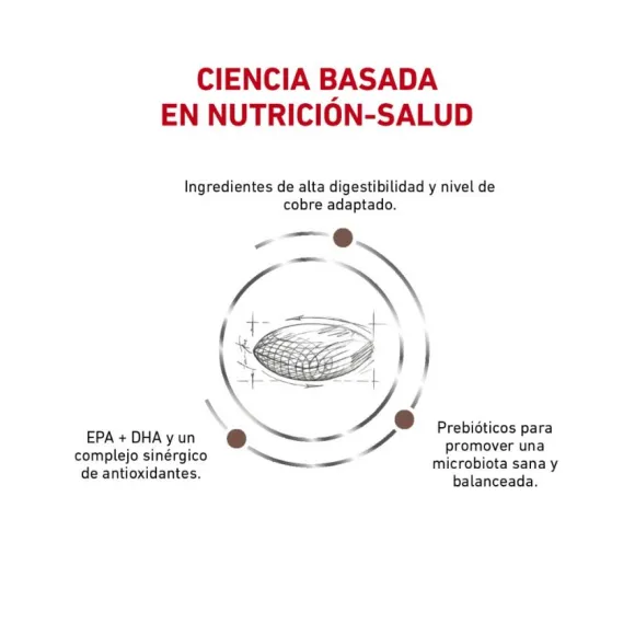 Royal Canin Alimento Seco Perro Adulto Hepatic