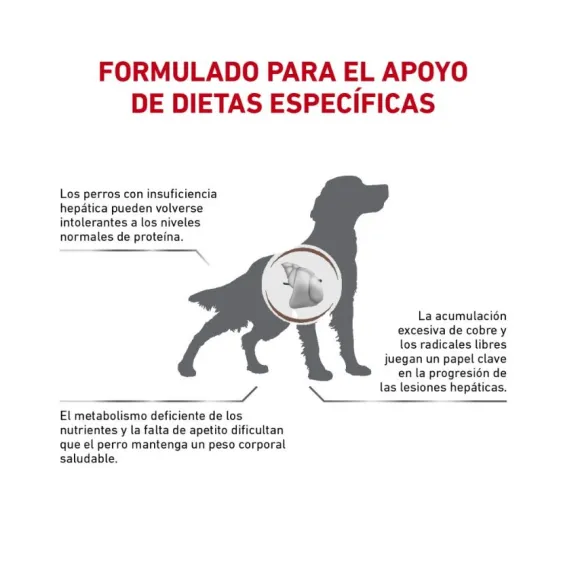 Royal Canin Alimento Seco Perro Adulto Hepatic