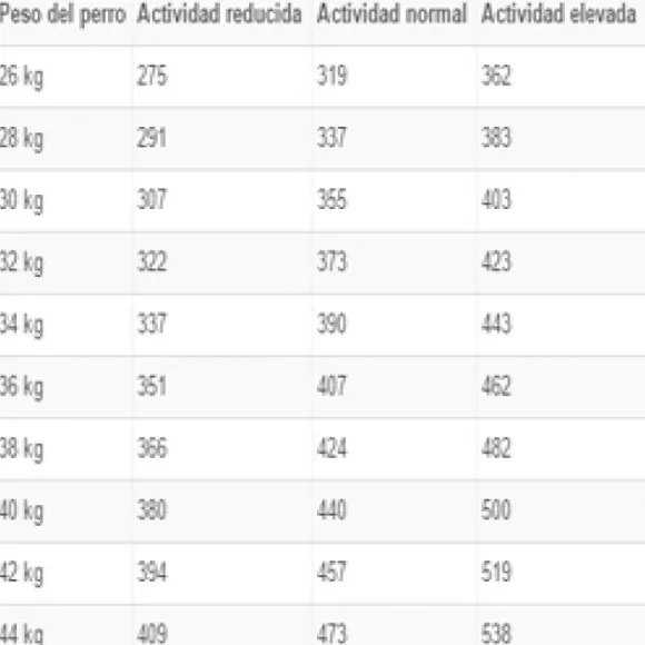 Royal Canin Alimento Seco Perro Adulto Maxi Dermacomfort