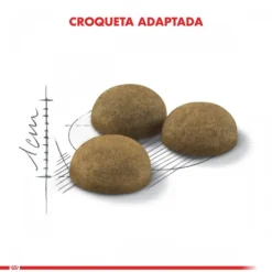 Royal Canin Alimento Seco Gato Adulto Indoor Long Hair