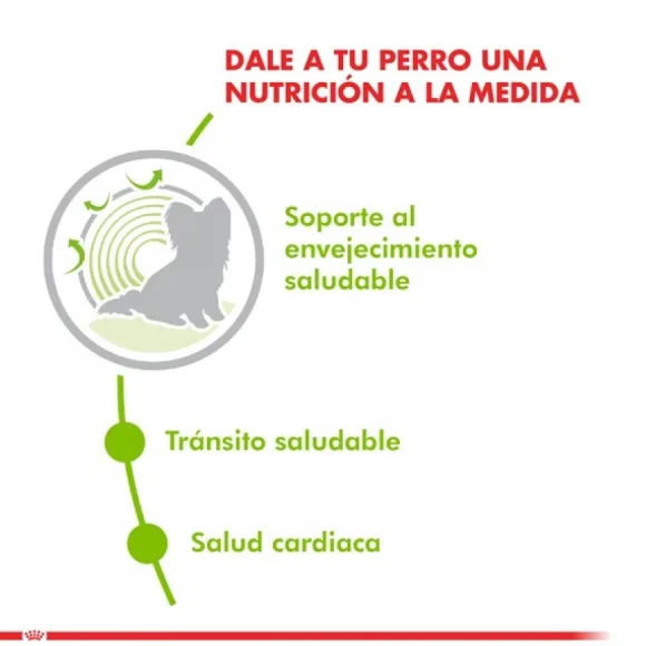 Royal Canin Alimento Seco Perro Adulto X-Small Ageing 12+ 1Kg