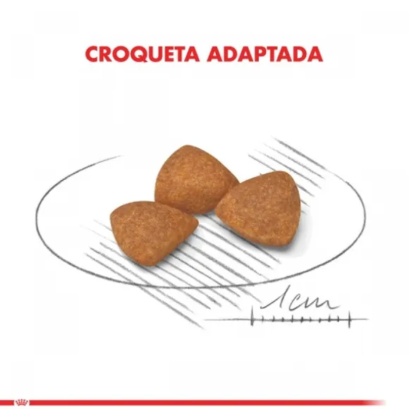 Royal Canin Alimento Seco Perro Adulto X-Small Ageing 12+ 1Kg