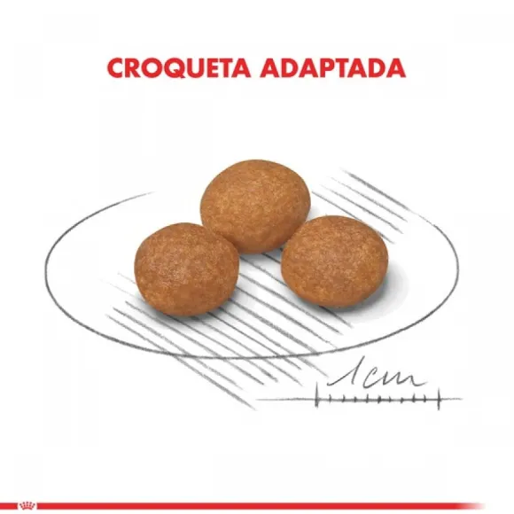 Royal Canin Alimento Seco Perro Adulto X-Small Adult 8+ 1Kg