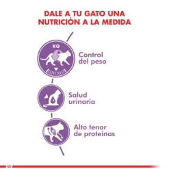 Royal Canin Alimento Seco Gato Adulto Regular Sterilised