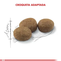 Royal Canin Alimento Seco Gato Adulto Regular Sterilised