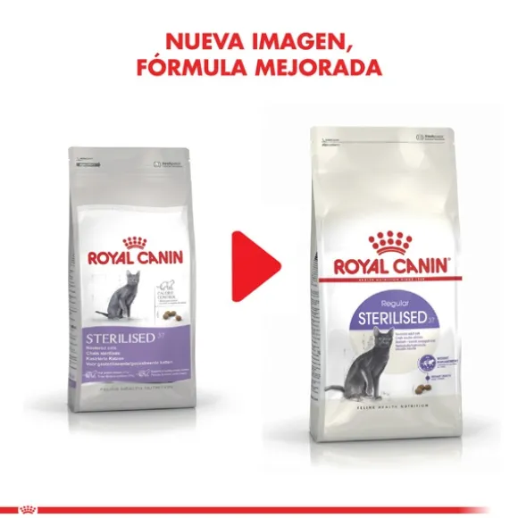 Royal Canin Alimento Seco Gato Adulto Regular Sterilised