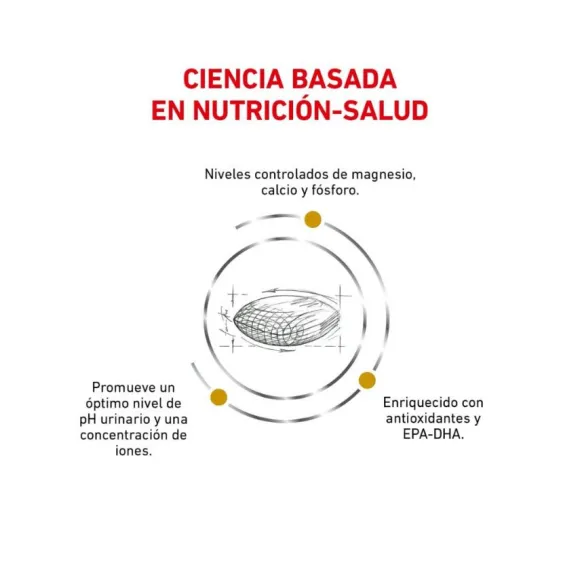 Royal Canin Alimento Seco Perro Adulto Urinary S/O