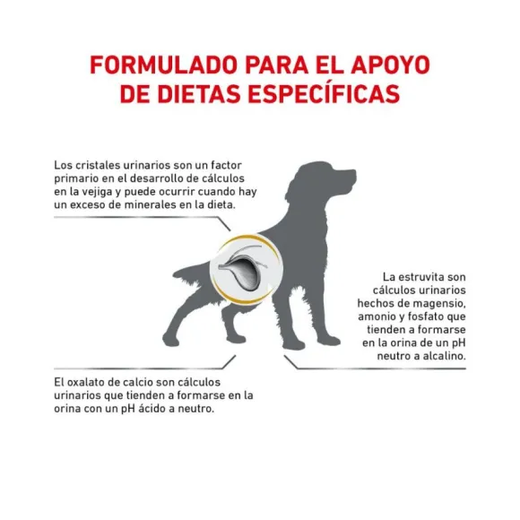 Royal Canin Alimento Seco Perro Adulto Urinary S/O