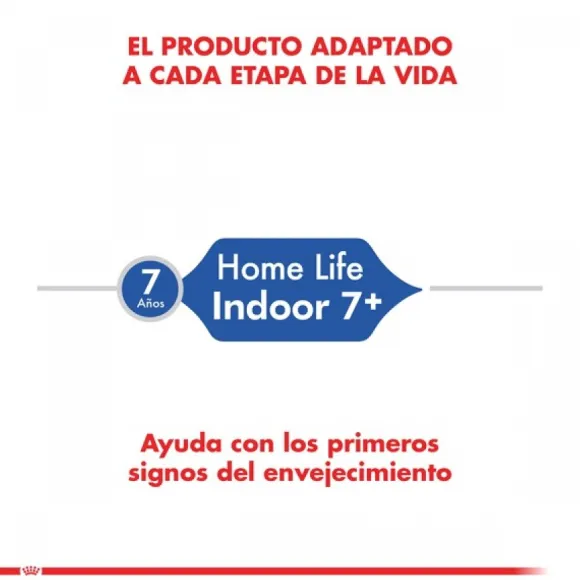 Royal Canin Alimento Seco Gato Adulto Indoor +7